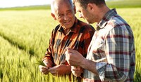 Farmers in wheat field 